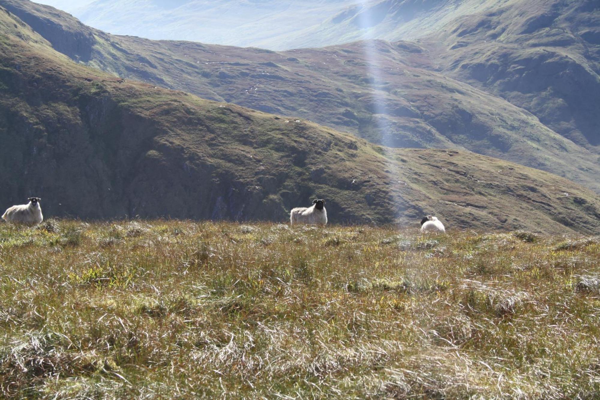The Connemara - Sleepzone Hostel *