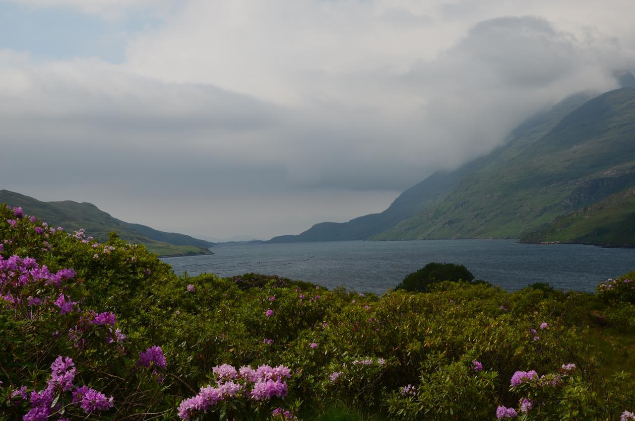 The Connemara - Sleepzone